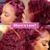 Stema #99j Red Burgundy 13x4 Transparent Lace Frontal Wig